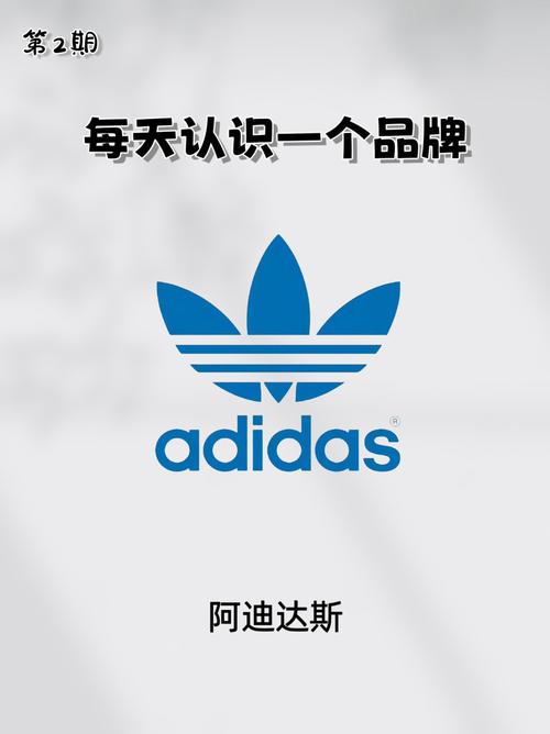 三叶草加速器破解版极速版2023截图