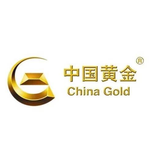 黄金网站免费大全入口无限金币版截图