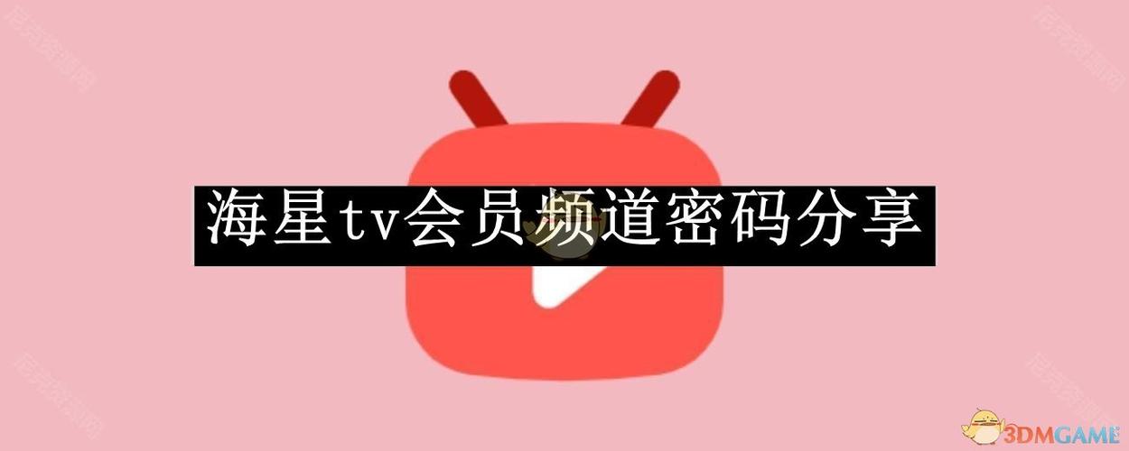 海星tv解锁版授权码截图