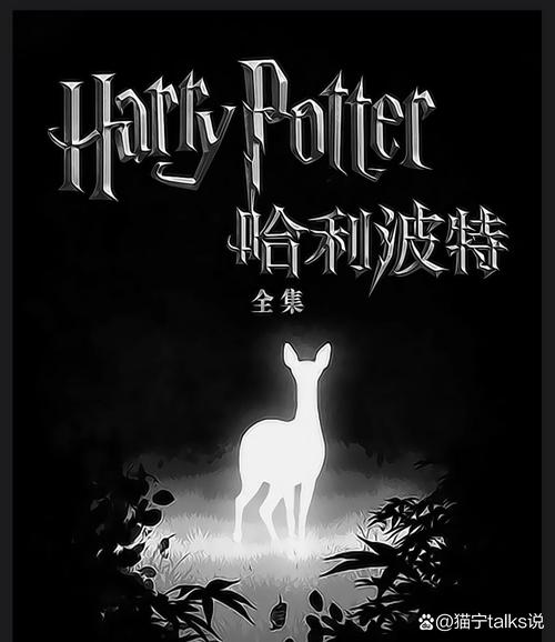 哈利波特原著电子书TXT无限版截图