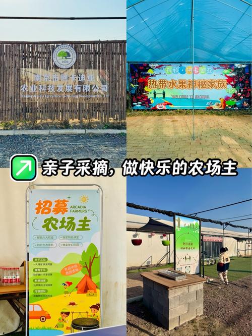 采摘乐园赚钱版截图