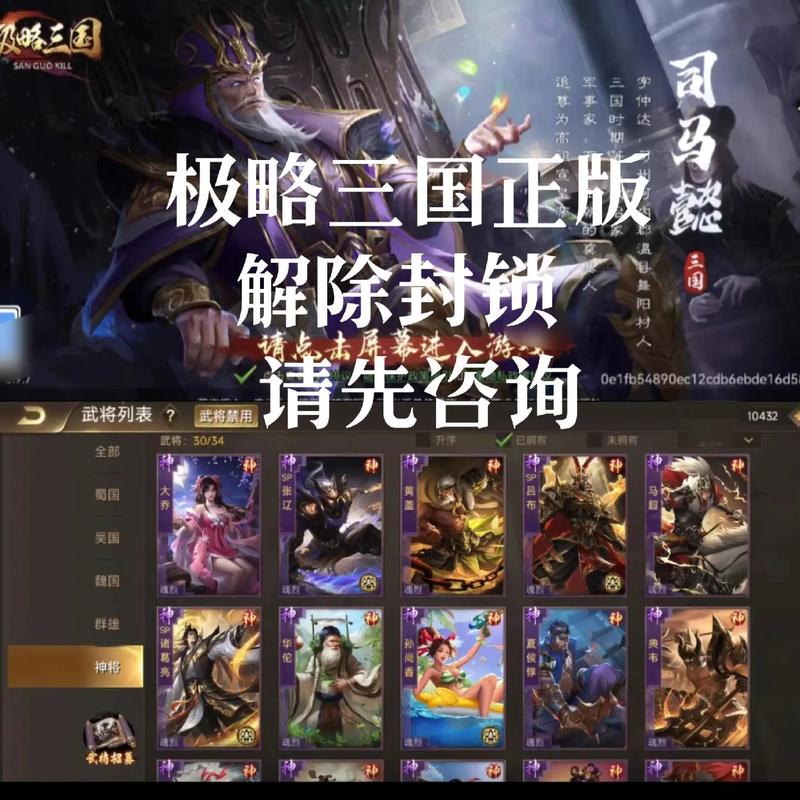 极略三国内购破解版兑换码截图