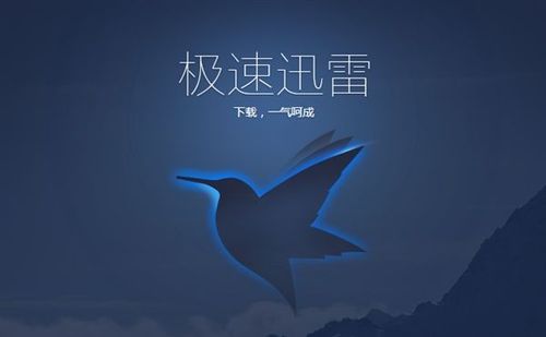 雷轰加速官方下载截图