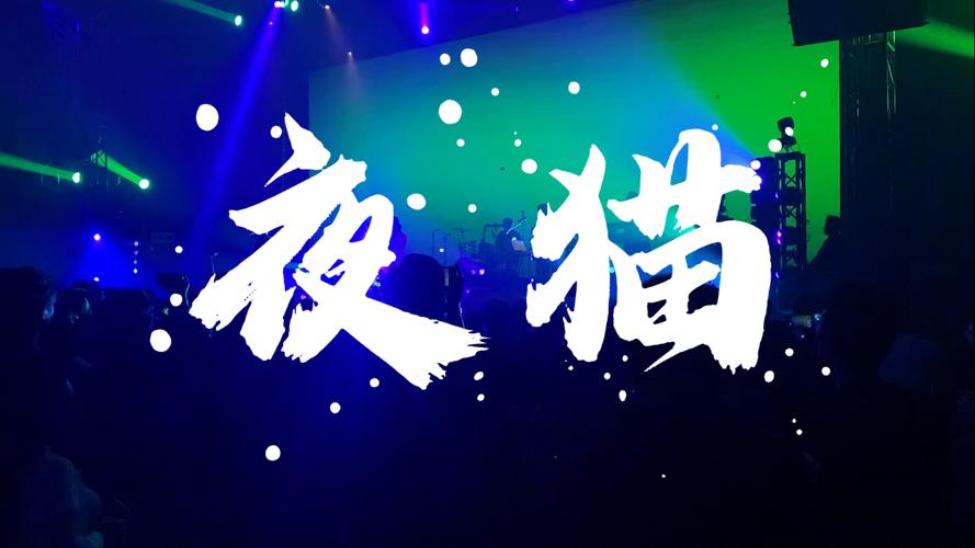 夜猫画质助手免费阅读截图