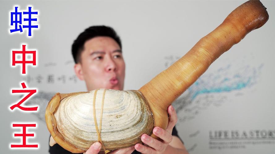 象拔蚌视频截图