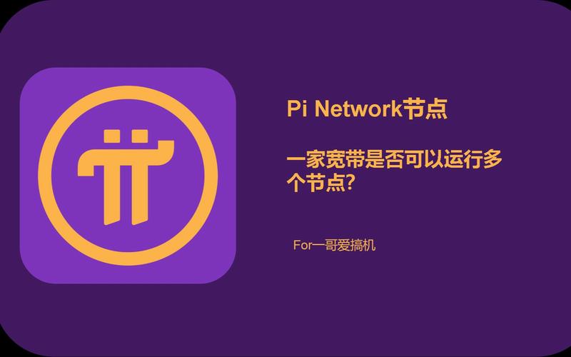 pibrowser截图