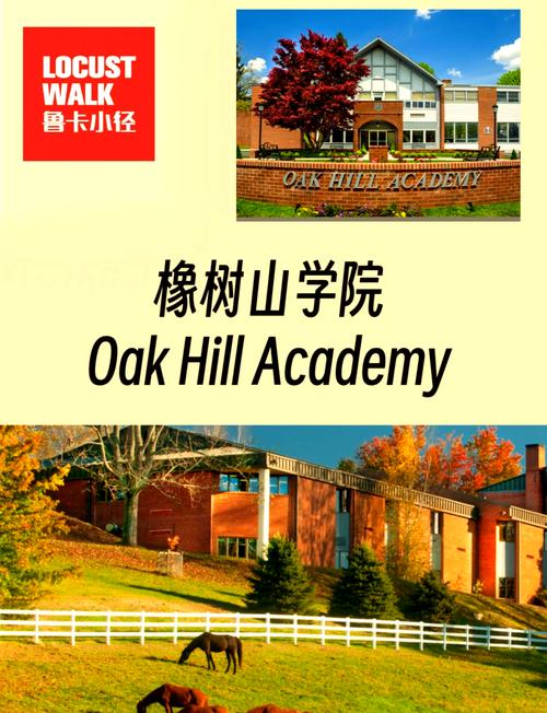 橡树学院中文版入口截图