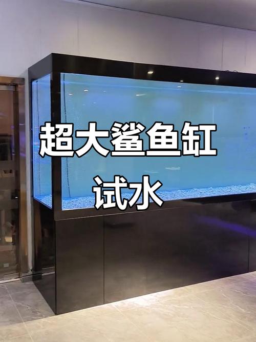 鲨鱼鱼缸图片真实大全截图