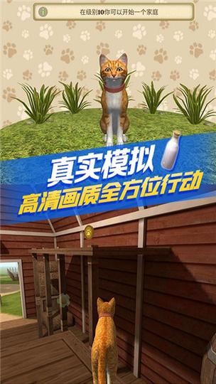 猫咪生存模拟旧版本截图