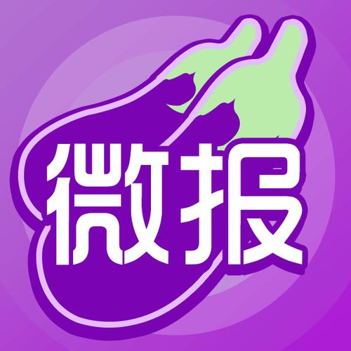 茄子微报截图