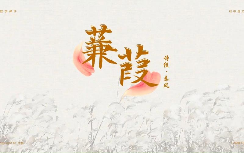 蒹葭小说截图