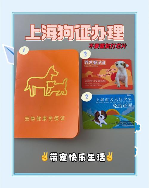 上海网上办狗证麦道辅助踢腿截图