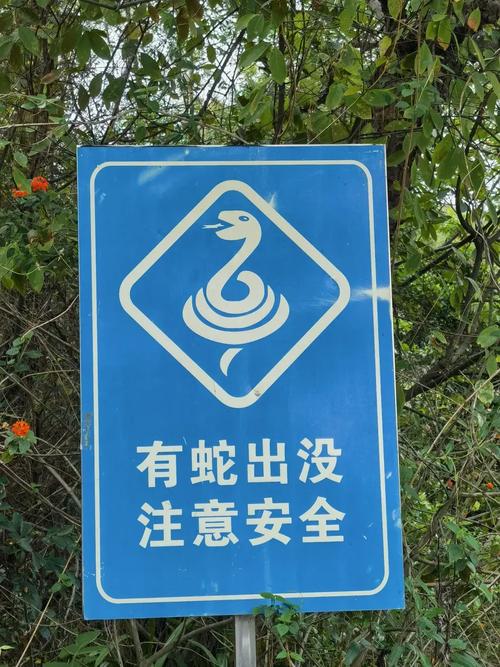 毒蛇加速器安装正版截图