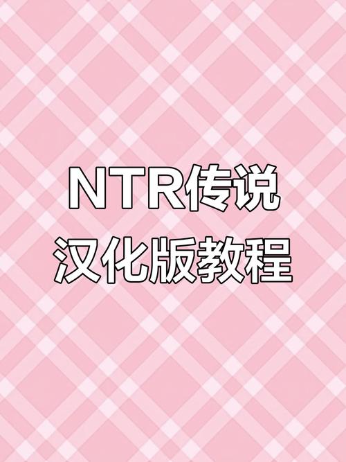 NTR传说安卓汉化怎么下截图