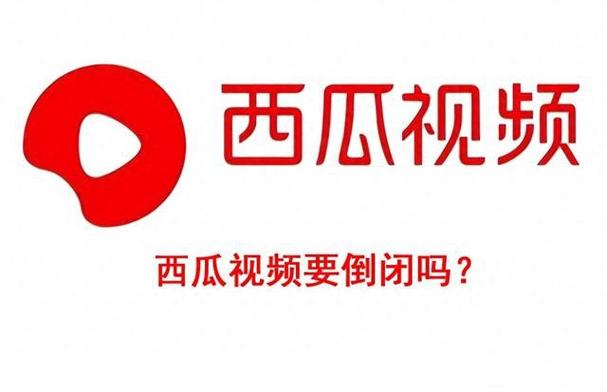 西瓜频道最新版截图