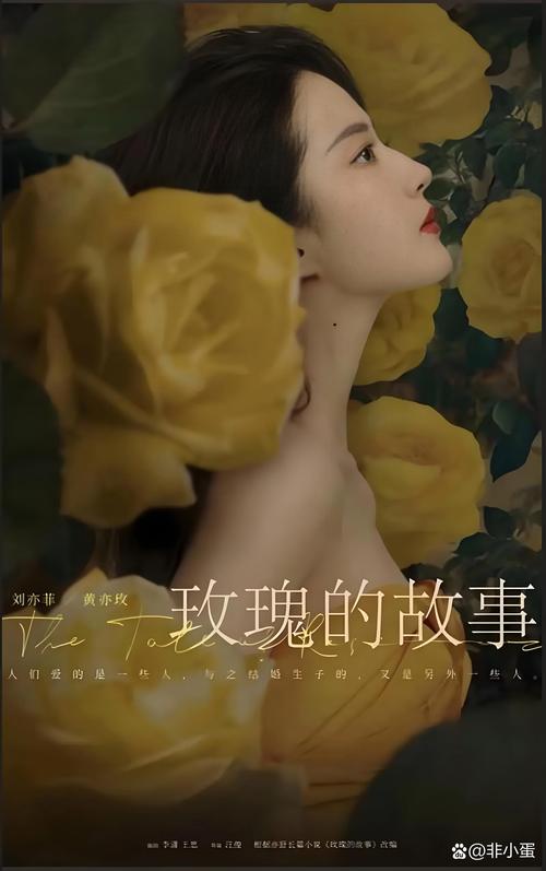 玫瑰影视破解版极速版截图