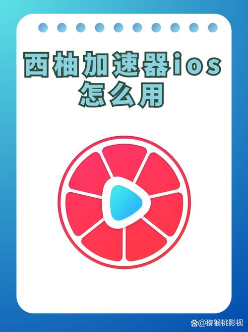 西柚加速器西柚极速版2023截图