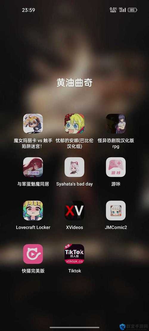 夜里100款禁用软件大全游戏截图