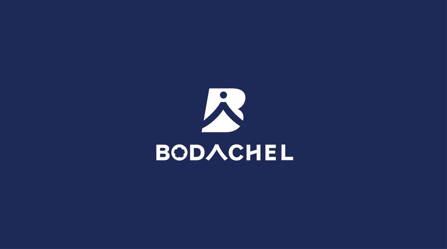 BODO官方正版安装截图