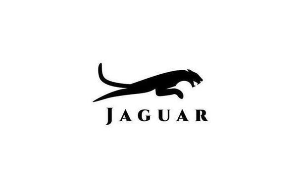 猎豹加速图标
