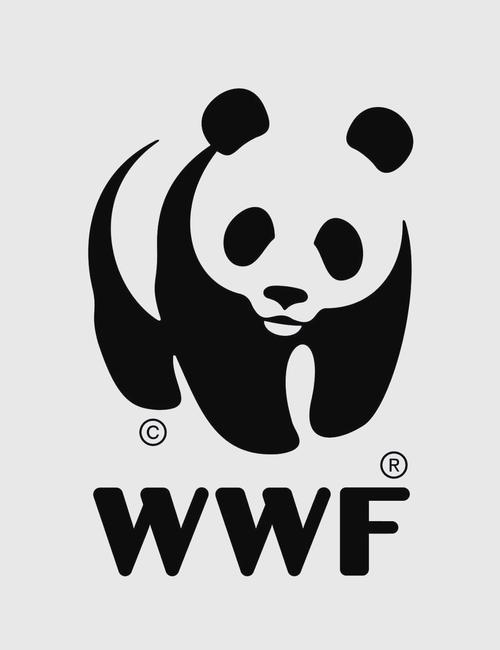 最近很火的熊猫壁纸截图
