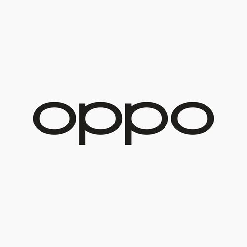 oppo框架下载游戏截图