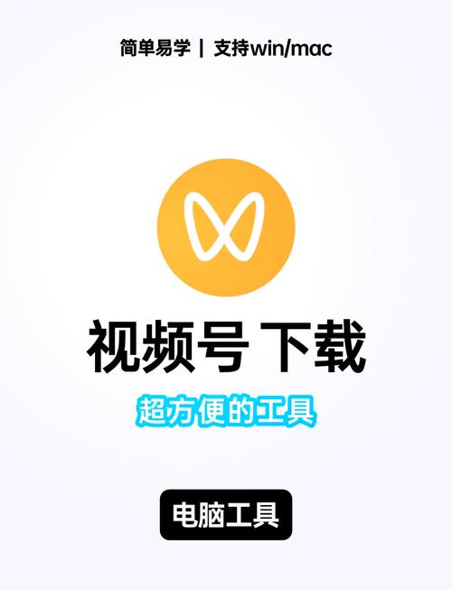 全民小视频自动刷播放安装到手机图标