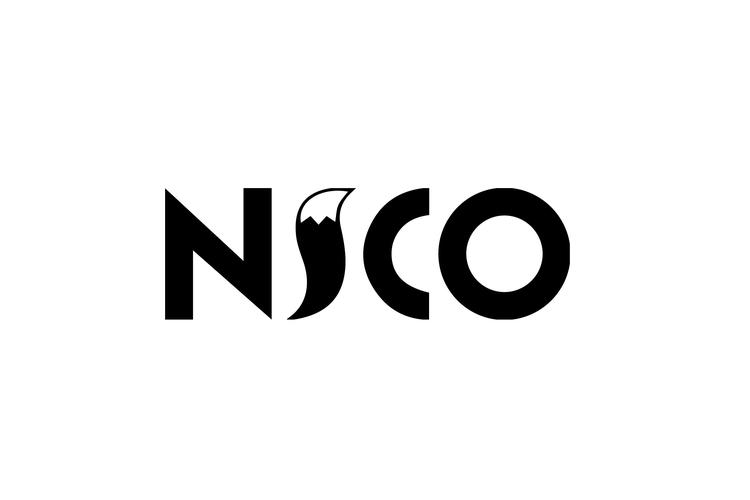 nico圈内的全部术语截图