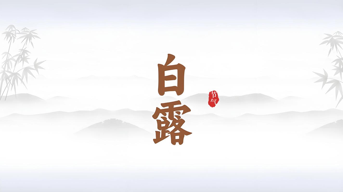 白露直播最新版截图