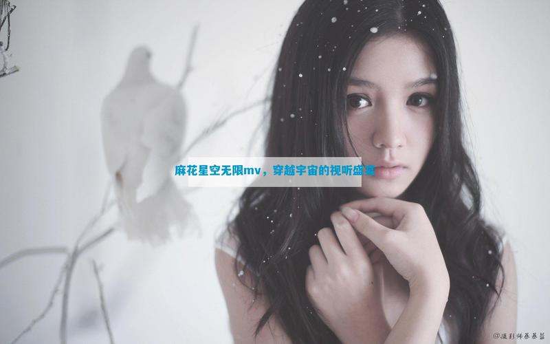星空无痕mv免费观看麻花影视破解版无需登录截图