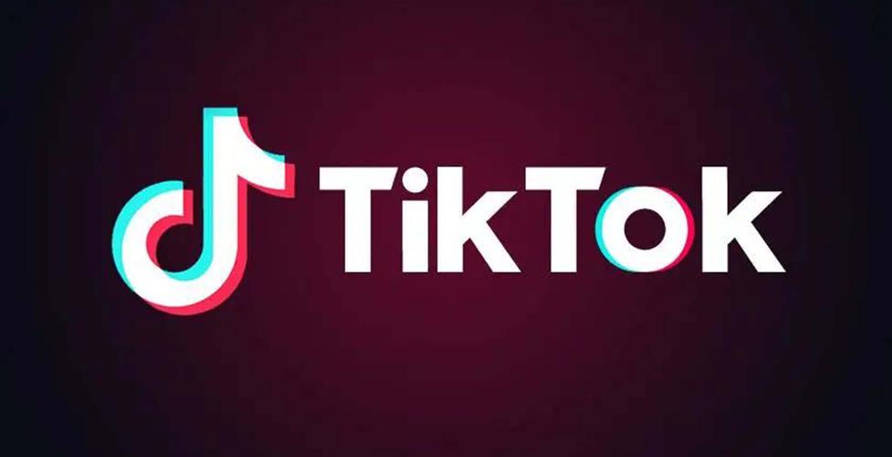 tiktok色板免费安装大全截图