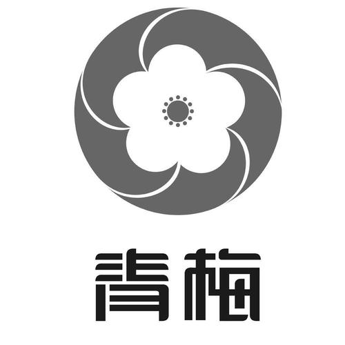 青梅免费小说图标
