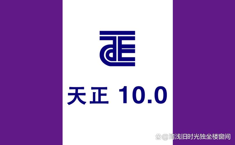 天正软件破解版男人版截图