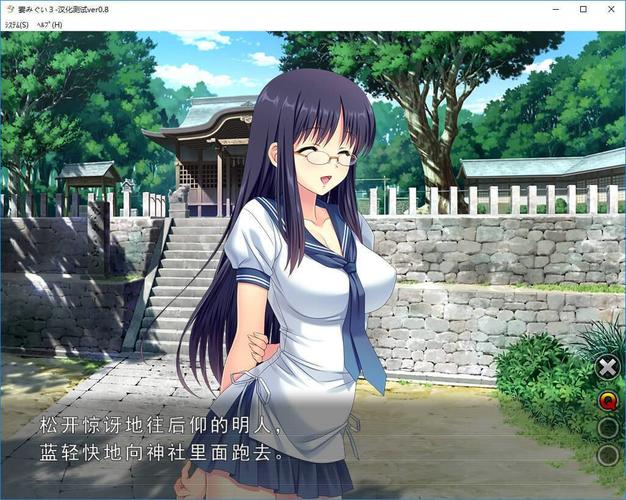 妻中蜜3汉化版游戏安卓版截图