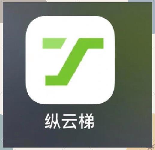 云梯加速器极速版图标