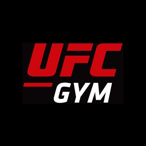 ufc终极格斗游戏安卓纯净版截图
