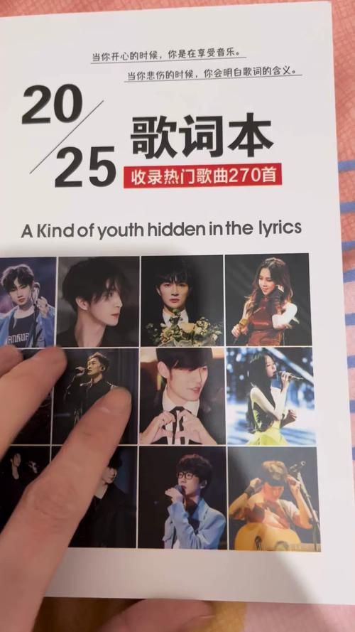 经典歌曲打包百度网盘闪玩免广告破解版image20250216snkhnq1739690711j截图