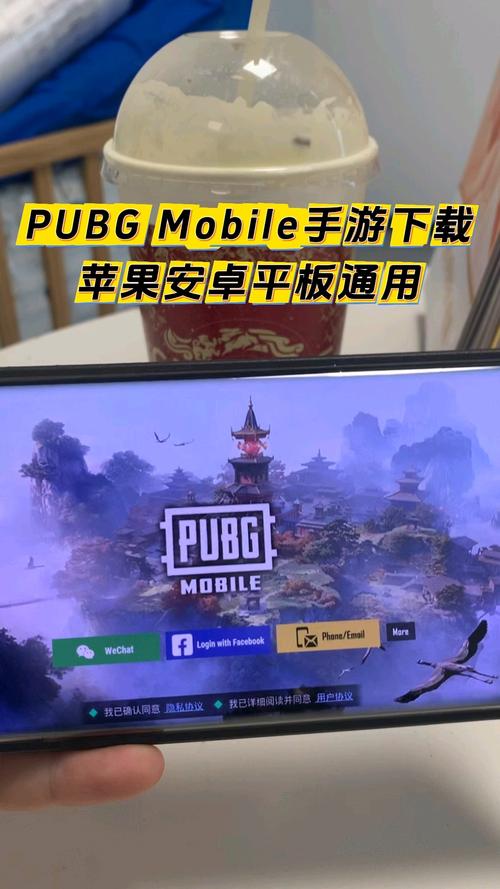安卓pubg改文件教程截图