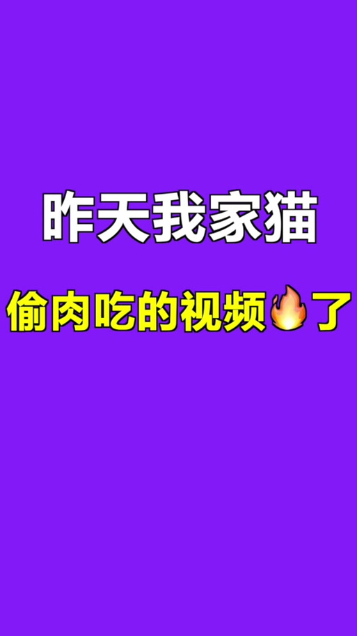 皮皮喵lite官方正版蓝色版无广告免费截图