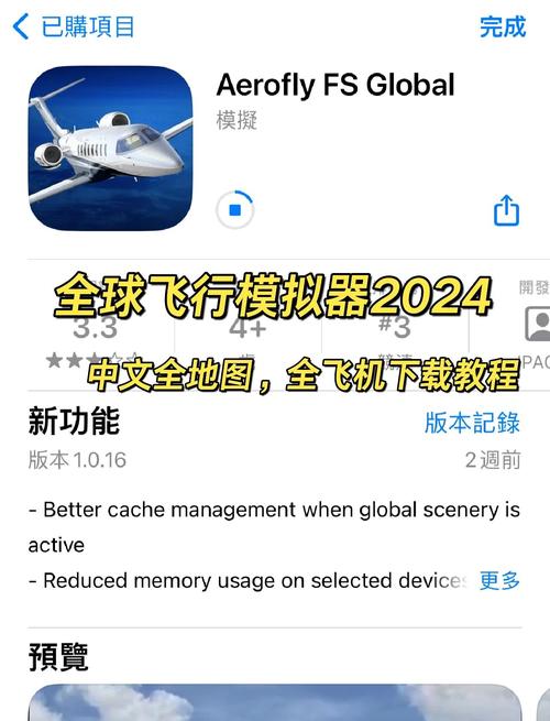 模拟飞行电脑版怎么提现版图标