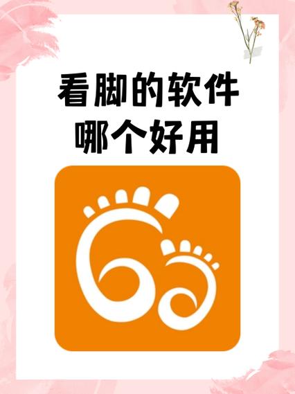 专看脚的直播vip截图