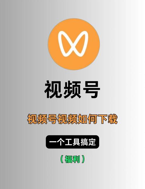 视频助手截图
