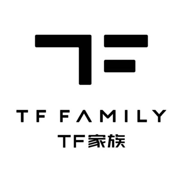 TF正版安装截图