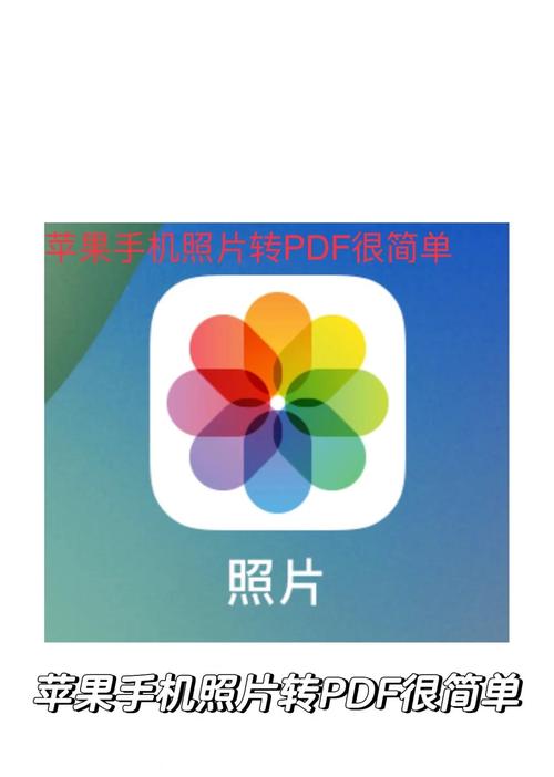 图像转换器手机版截图