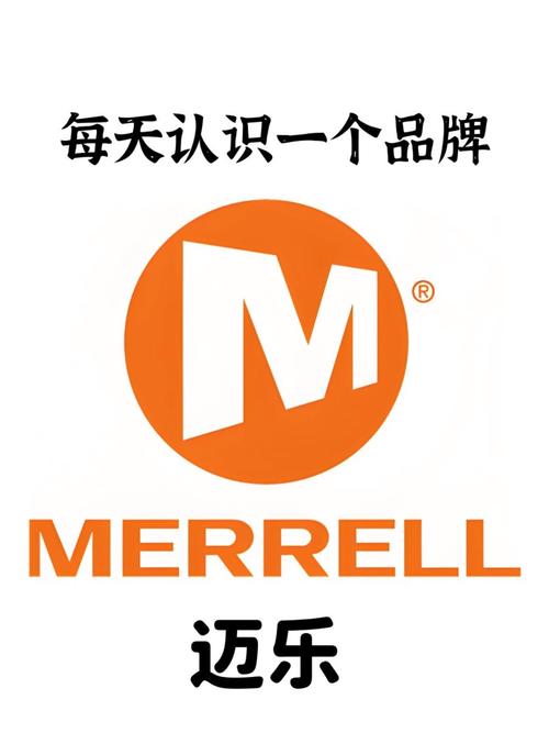 迈赞永久不升级截图