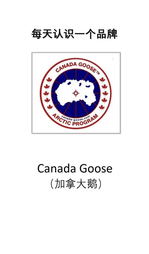 大鹅开黑现在叫什么截图