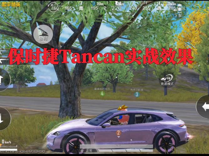 和平精英保时捷容器直装破解版截图