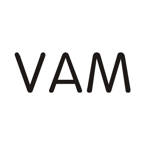 vam游戏官方网站入口提米版截图
