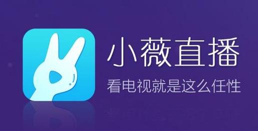 小微tv直播口令截图
