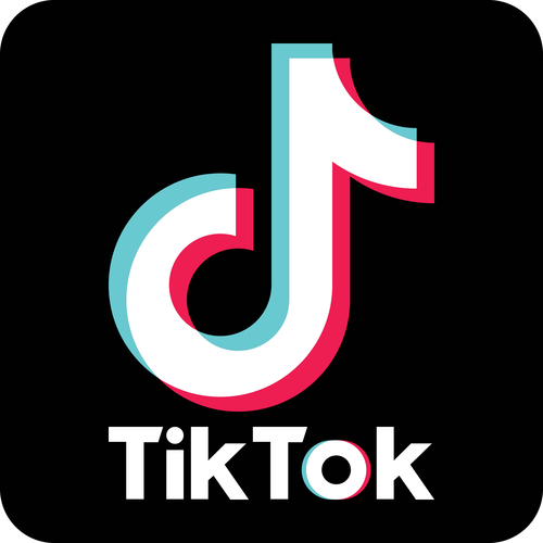tiktok色板版本破解版永久VIP